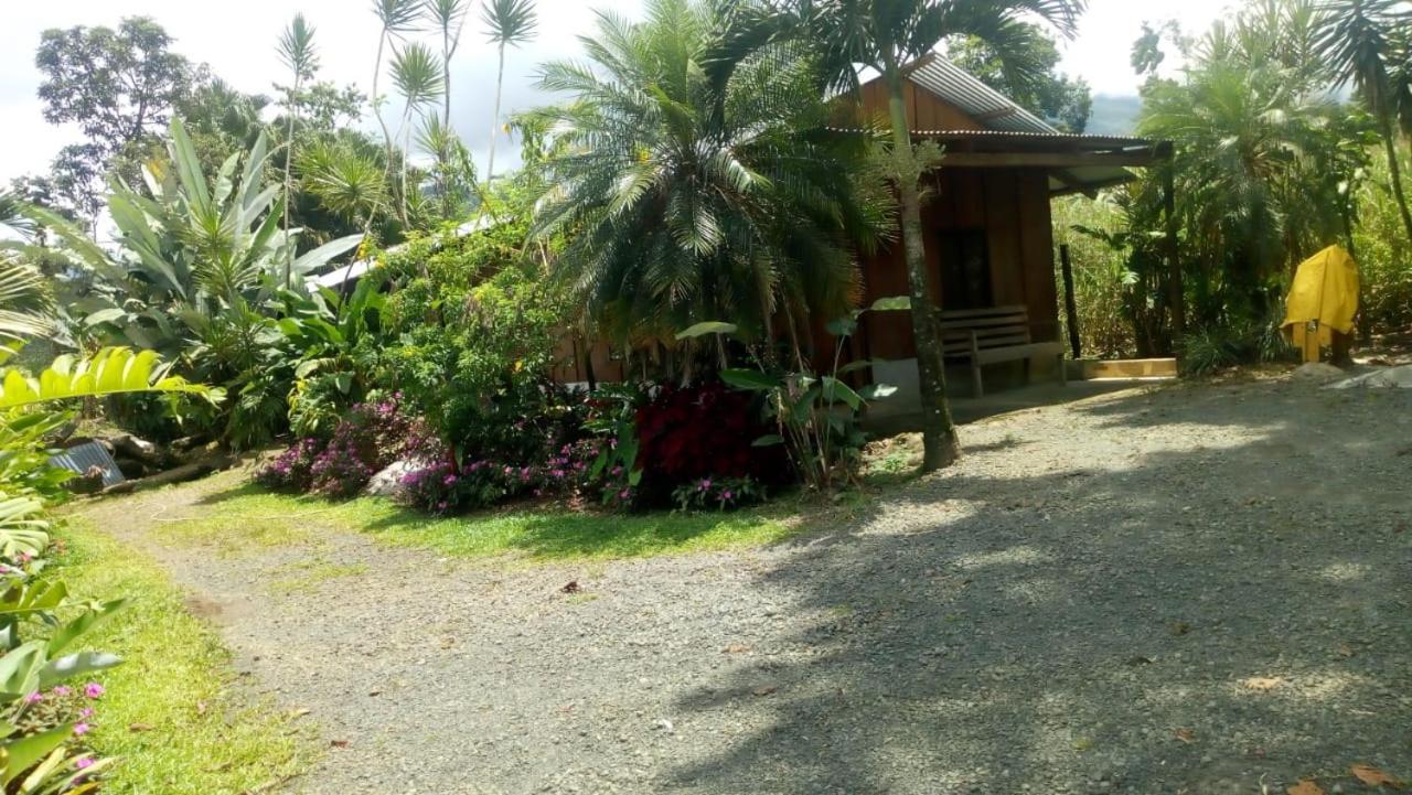 Bed and Breakfast Posada Rio Celeste In Экстерьер фото